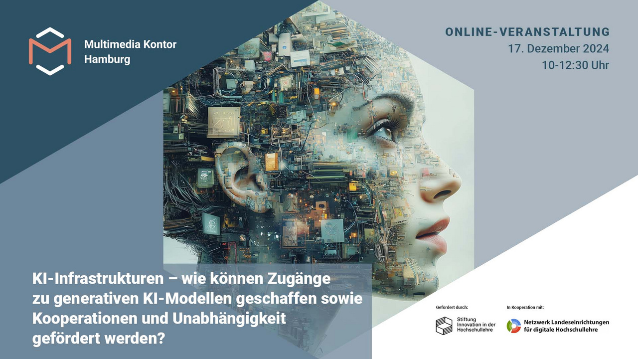 ein weiblicher Kopf mit technischem Inhalt - Platinen, Kabel